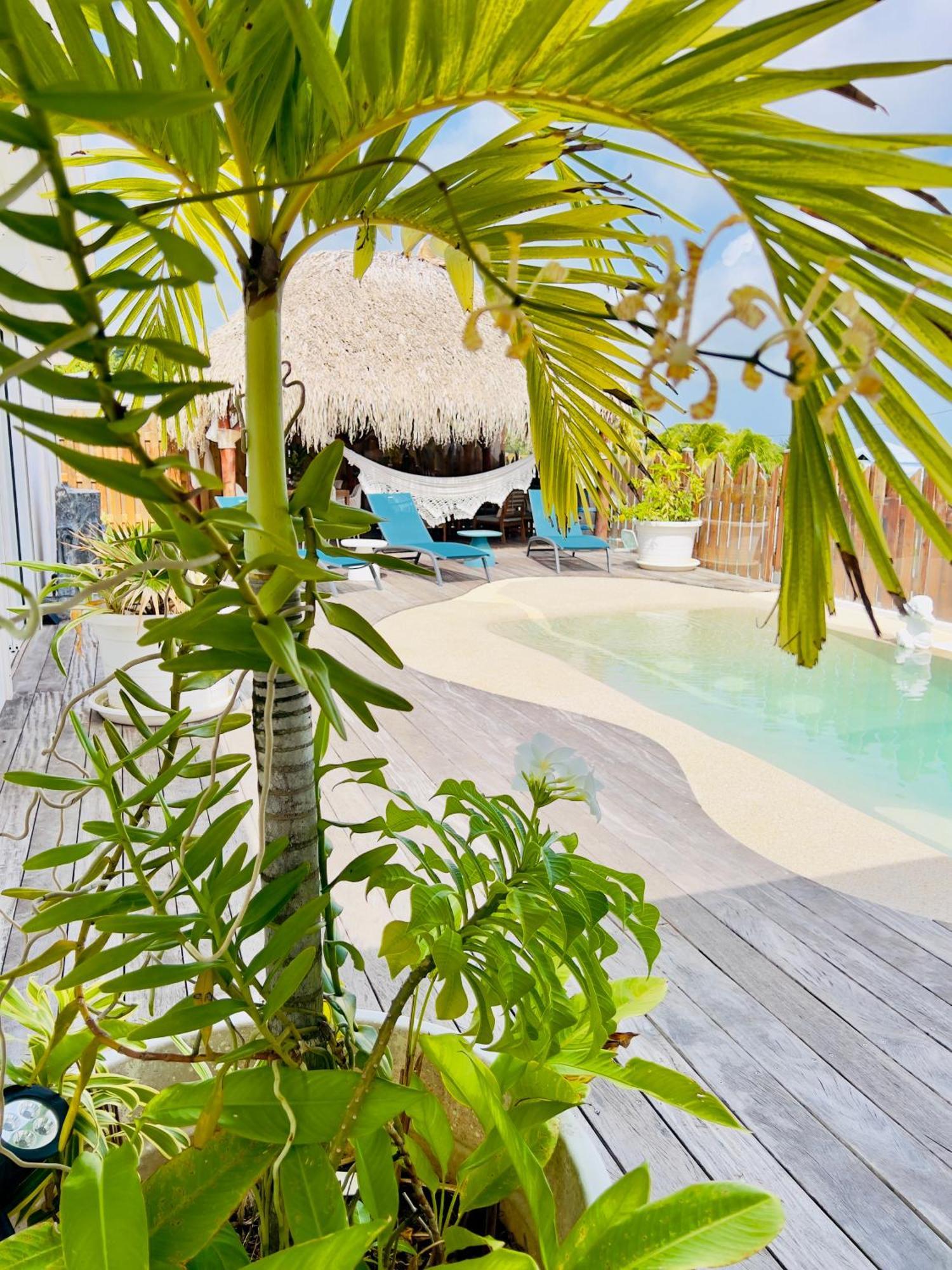 סנט-לוס Villa Amaryllis Luxueuse,Piscine,Vue Mer,Plage מראה חיצוני תמונה